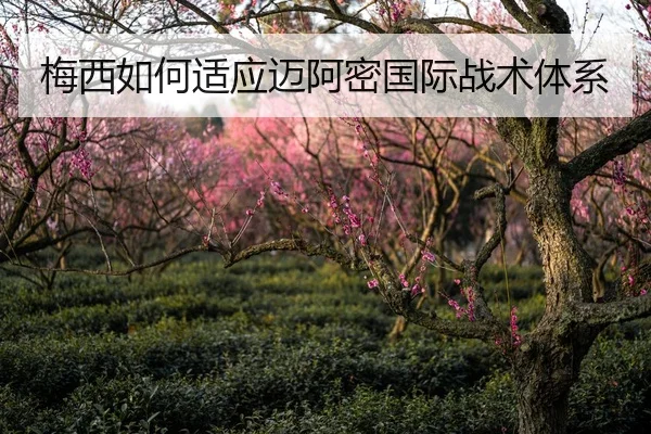 梅西如何适应迈阿密国际战术体系
